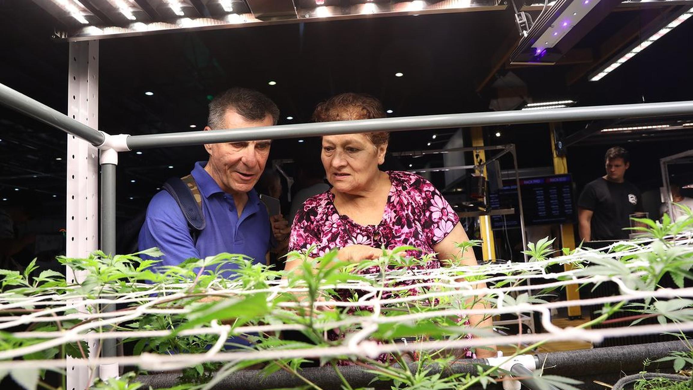 Tecnología y nuevos dispositivos para cultivo de cannabis presentados en Expo Cannabis