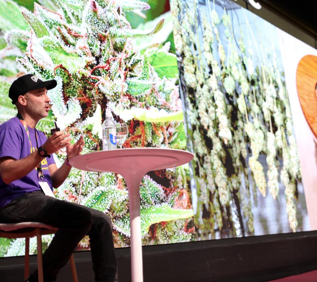 Taller de cultivo de cannabis con cultivadores expertos en Expo Cannabis