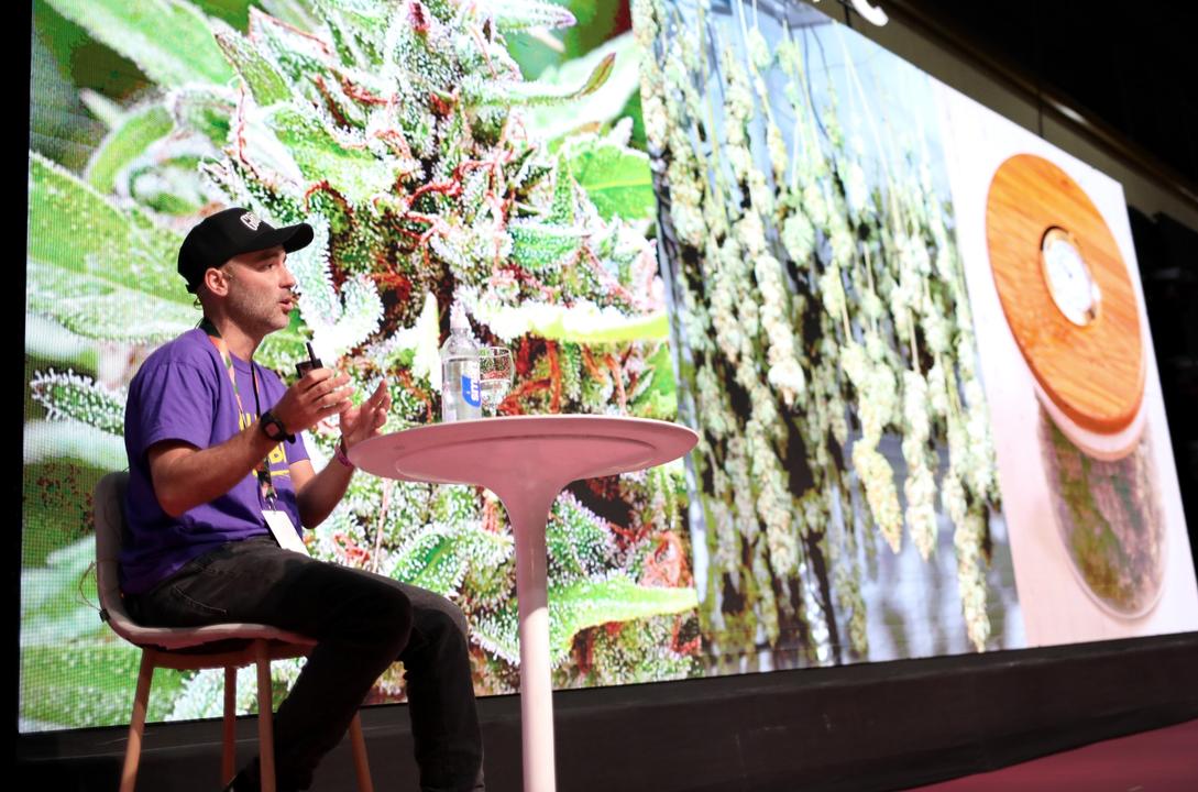 Taller de cultivo de cannabis con cultivadores expertos en Expo Cannabis