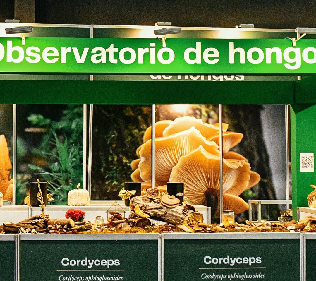 Observatorio de hongos vivos en Expo Cannabis con especies medicinales y comestibles