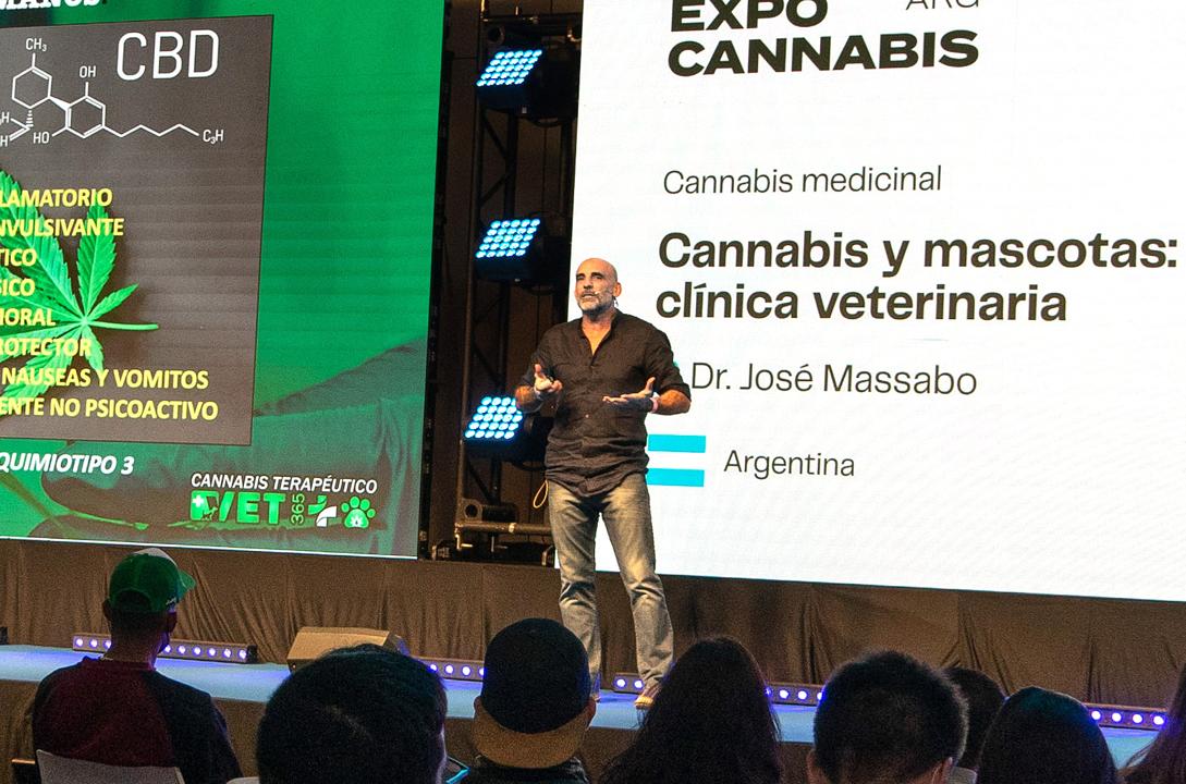 Conferencia sobre cannabis veterinario en Expo Cannabis con especialistas en salud animal